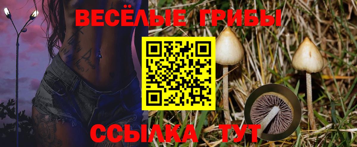Валуйки  Псилоцибиновые грибы MAGIC MUSHROOMS  купить наркотик  Вход с VPN 